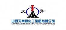 山西天脊煤化工集團數據治理項目